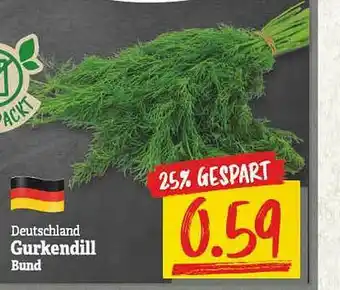 NP Discount Deutschland Gurkendill Angebot