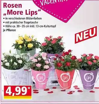 Norma Rosen „more Lips” Angebot