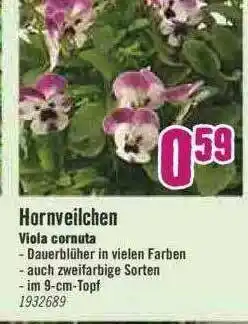 Hornbach Hornveilchen Viola Cornuta Angebot