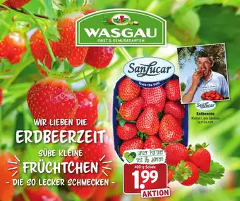 Wasgau SanLucar Erdbeeren 400g Angebot