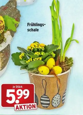 Wasgau Frühlingsschale Angebot