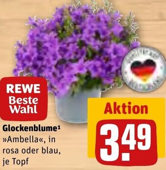 REWE Glockenblume Angebot