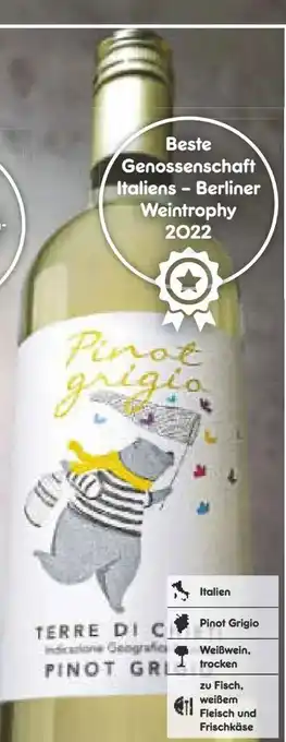 Netto Marken-Discount Pietrame pinot grigio terre de chieti Angebot