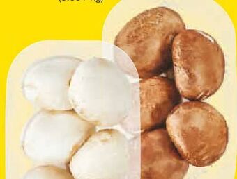Netto Marken-Discount Riesenchampignon Angebot
