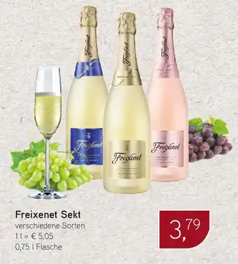 Dornseifer Freixenet Sekt verschiedene Sorten 0,75 | Flasche Angebot