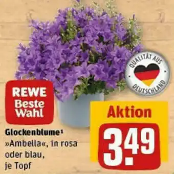 REWE Glockenblume Angebot