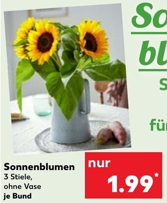 Kaufland Sonnenblumen Angebot