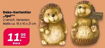 NETTO Deko-Gartentier ,,Igel" Angebot