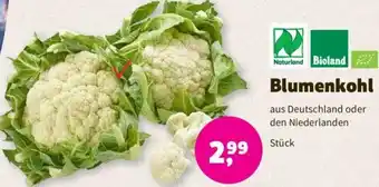 Denns BioMarkt Naturland/Bioland Blumenkohl Angebot