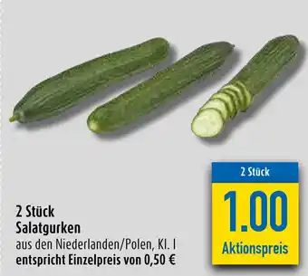 diska 2 Stück Salatgurken Angebot