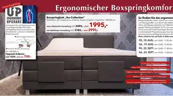 Wiethoff Boxspringbett ,,Yes-Collection" Angebot