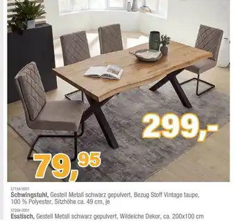 Schleudermaxx Schwingstuhl Angebot