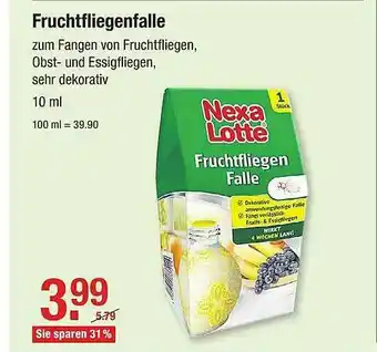 V Baumarkt Fruchtfliegenfalle Nexa Lotte Angebot