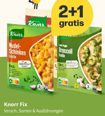 Picnic Knorr Fix Angebot