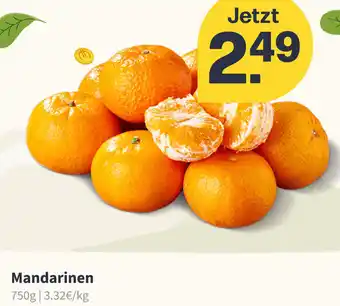 Picnic Mandarinen 750 g Angebot