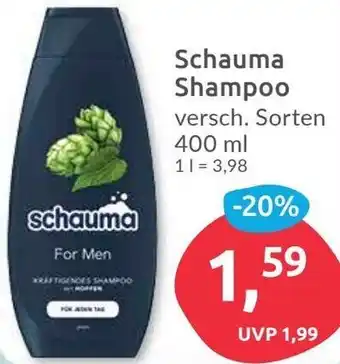 Budni Schauma Shampoo 400 ml Angebot