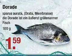 V Markt Dorade Angebot