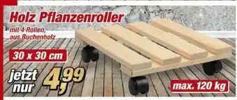 Posten Börse Holz Pflanzenroller Angebot