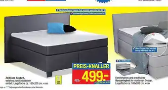 Möbelpiraten Zeitloses Boxbett Angebot