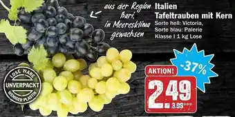 AEZ Italien Tafeltrauben Mit Kern Angebot