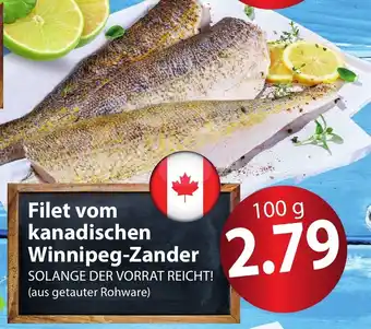 Famila Nord Ost Filet vom kanadischen Winnipeg-Zander 100 g Angebot