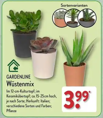 Aldi Nord GARDENLINE Wüstenmix Angebot