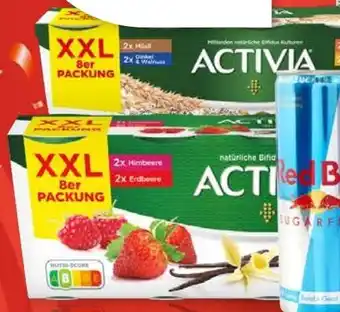 Lidl Danone Activia XXL 8x115 g Angebot