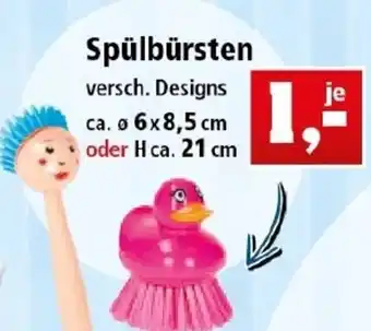 Thomas Philipps Spülbürsten Angebot