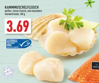 Marktkauf Kammmuschelfleisch 100g Angebot