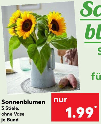 Kaufland Sonnenblumen Angebot