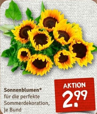 nahkauf Sonnenblumen Angebot