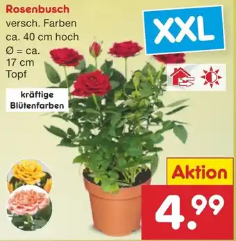 Netto Marken-Discount Rosenbusch Angebot