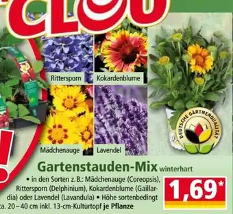 Norma Gartenstauden-Mix winterhart Angebot