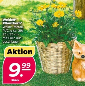NETTO Weiden-Pflanzkorb Angebot