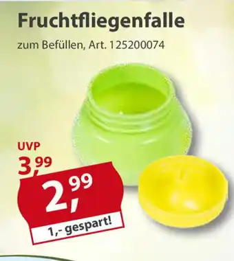 Sonderpreis Baumarkt Fruchtfliegenfalle Angebot