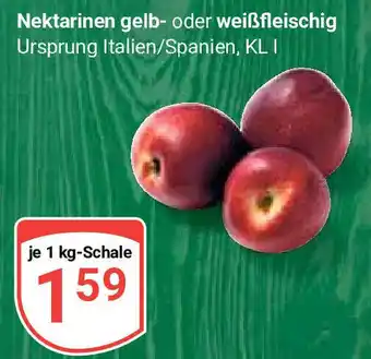 Globus Nektarinen gelb- oder weißfleischig 1 kg-Schale Angebot