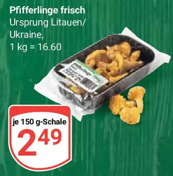 Globus Pfifferlinge frisch 150 g Schale Angebot