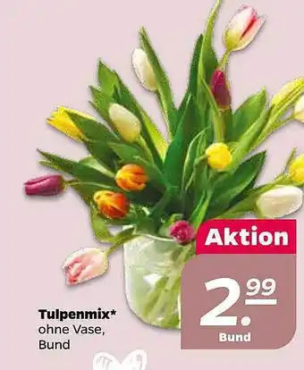 NETTO Tulpenmix Angebot