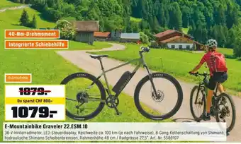 OBI E-Mountainbike Graveler 22.ESM.10 Angebot