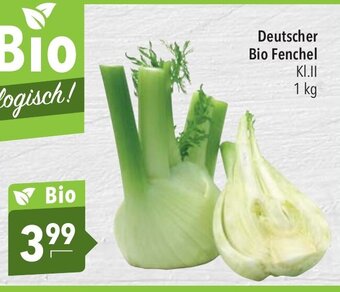 CITTI Markt Deutscher Bio Fenchel 1 kg Angebot