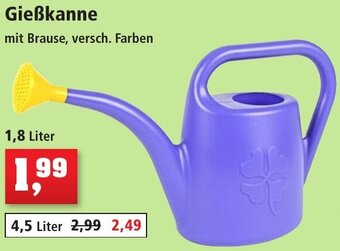 Thomas Philipps Gießkanne 1,8 Liter Angebot