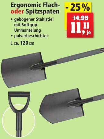 Thomas Philipps Ergonomic Flach-oder Spitzspaten L ca. 120 cm Angebot