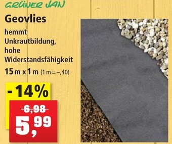 Thomas Philipps GRÜNER JAN Geovlies Angebot