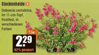 V Baumarkt Glockenheide Angebot