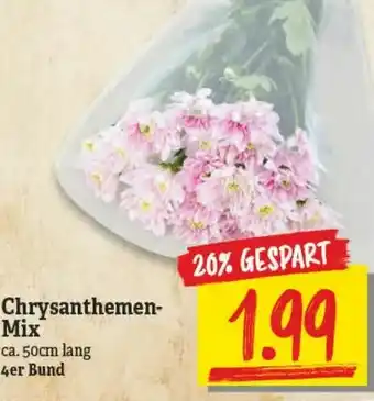 NP Discount Chrysanthemen Mix Angebot