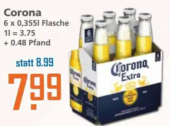 Klaas und Kock Corona 6 x 0,355L Angebot