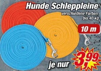 Posten Börse Hunde Schleppleine 10 m Angebot