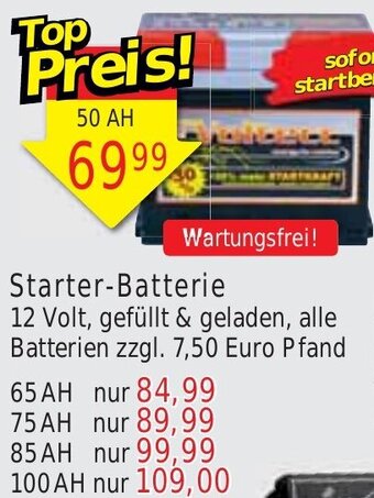 Wiglo Wunderland Starter-Batterie 50 AH Angebot