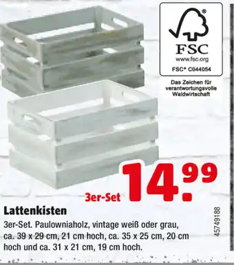 Hagebau Lattenkisten Angebot