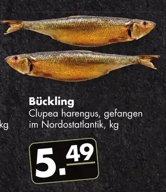 Handelshof Bückling Angebot